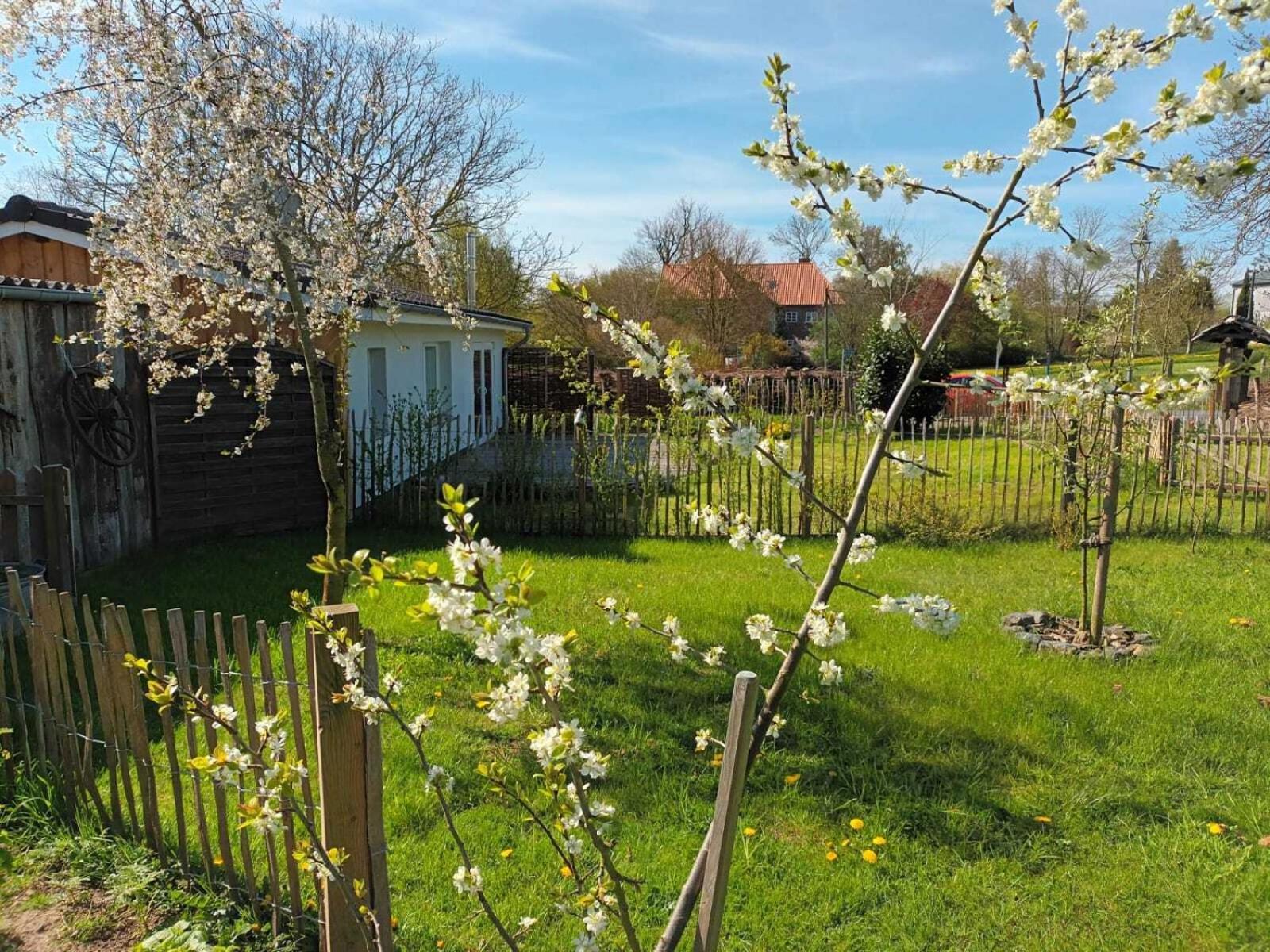Apfelhof Grundshagen